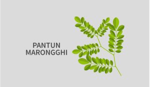 Pantun Marongghi