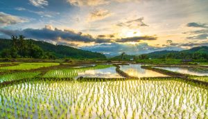 Konflik Agraria di Sumenep dan Luka yang Terus Berulang